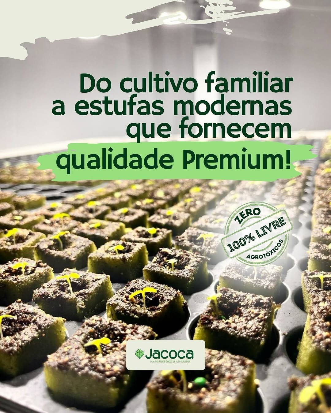 A história da Jacoca