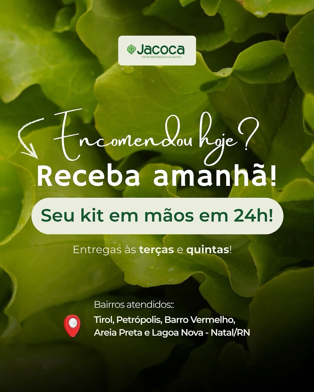 Entrega Jacoca